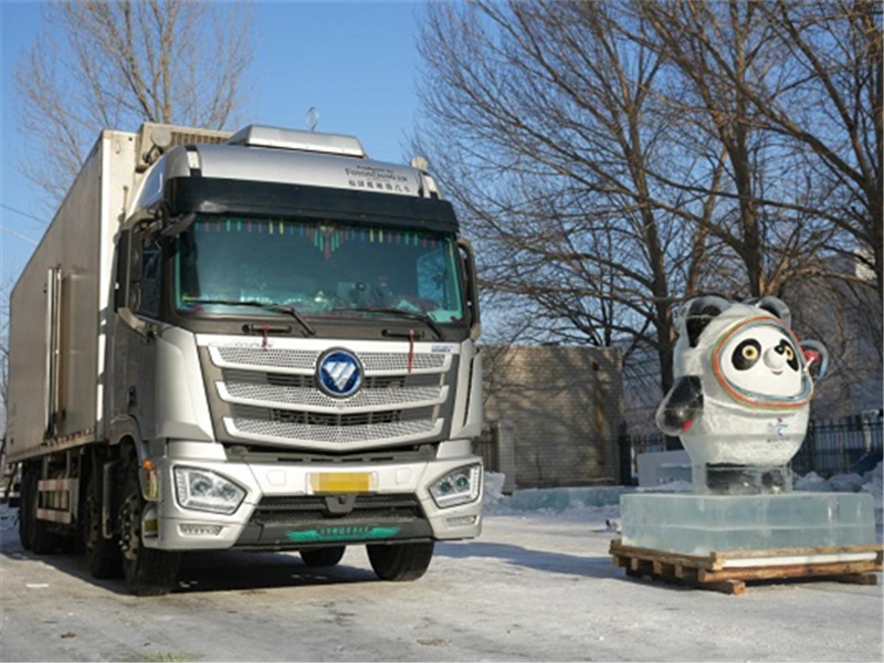 北京冬奥吉祥物“冰墩墩”艺术冰